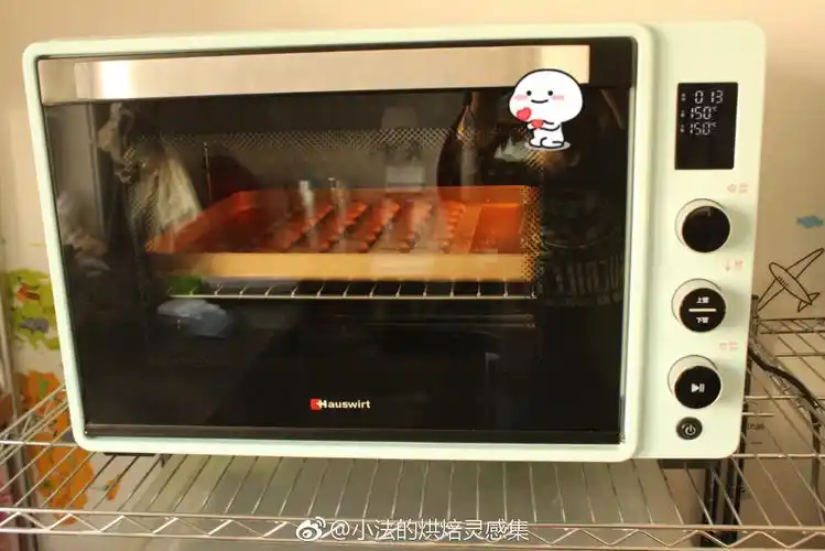 c76海氏75升平炉烤箱