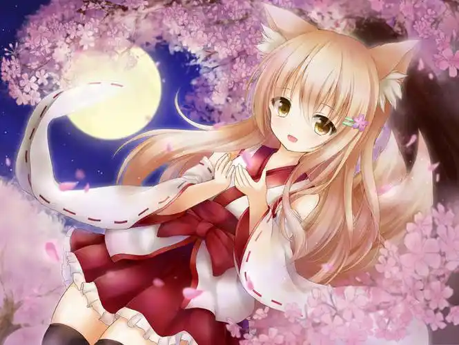 狐狸女孩子狐耳