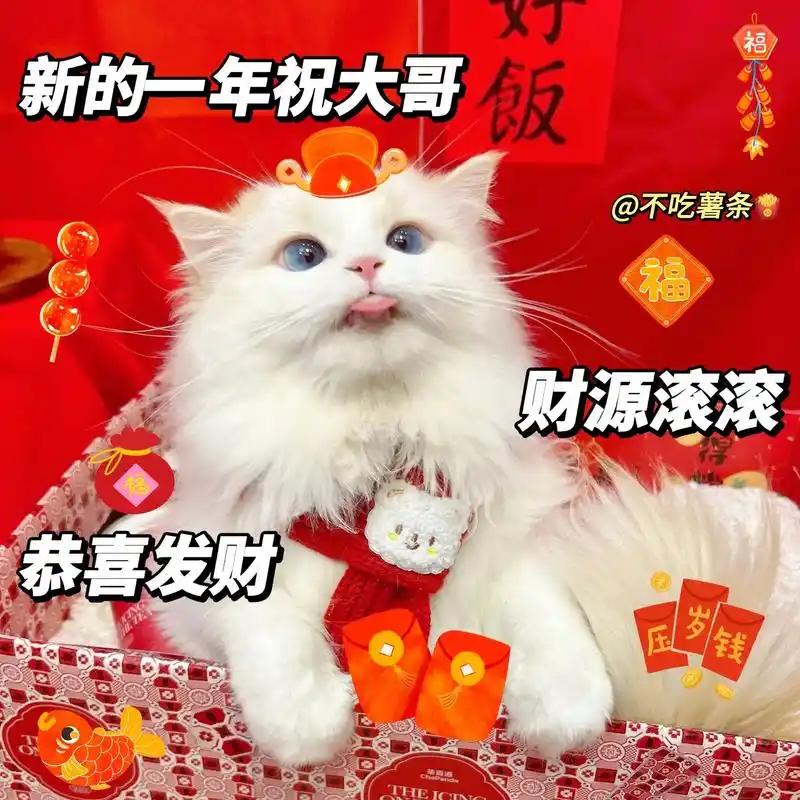 过年要压岁钱红包来了.#表情包 #萌娃表情包 #套路表情包 - 抖音