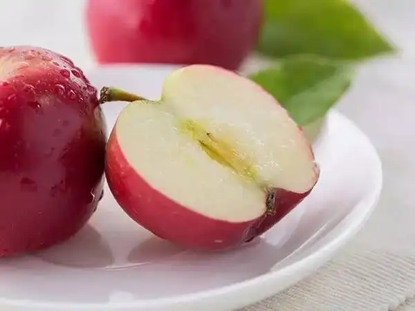 这种气 候非常适合水果生长, 这里也 酿造 全世界最优质的葡萄酒.