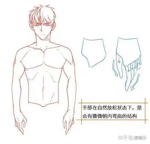 【名动漫】每日一练|画出自然下垂的胳膊