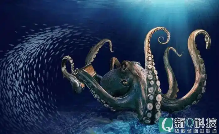 巨型乌贼现身日本海域,体型庞大,体长可达8米,犹如外星怪物