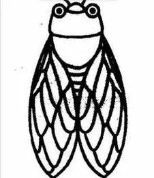 知了简笔画怎么画知了是半翅目蝉科一类生物的统称生活于蝉简笔画图片