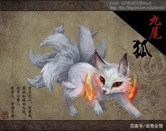 鬼论"九尾狐"长啥样?