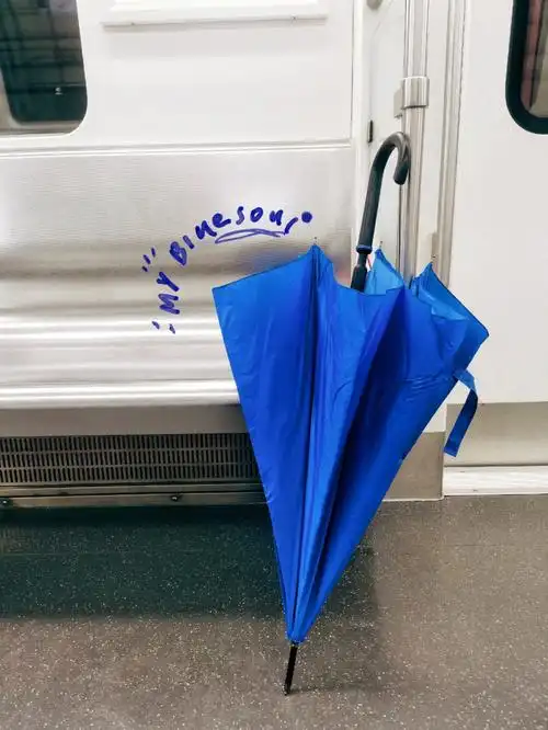 克莱因蓝我真的太爱了199get下雨天的快乐