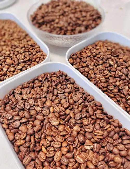 新鲜咖啡豆出炉