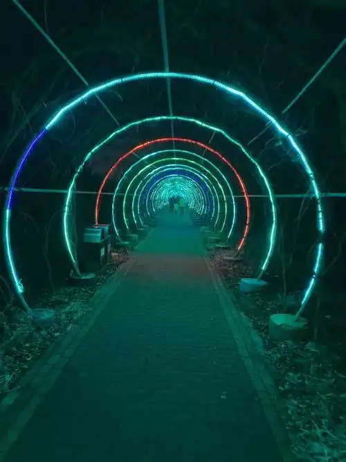 临泉木一博览园