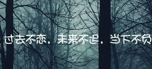 伤感失望的爱情说说不值得被原谅跟大不大度没关系各有各的底