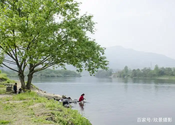 人物风景摄影:泾县桃花潭拍摄到的浣衣女子和古树下玩耍的孩子