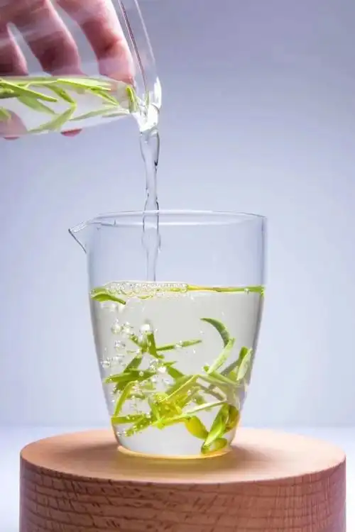 苗家妹妹采的茶##春天的第一杯好茶