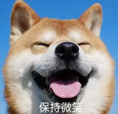 疫情期间有些狗承受了这个年纪不该有的懂事……保持微笑