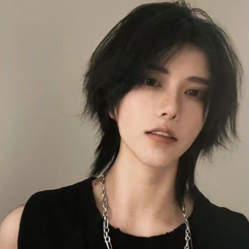 假头套女短发狼尾韩版帅气个性日系鲻鱼头自然男女通用短发全头套