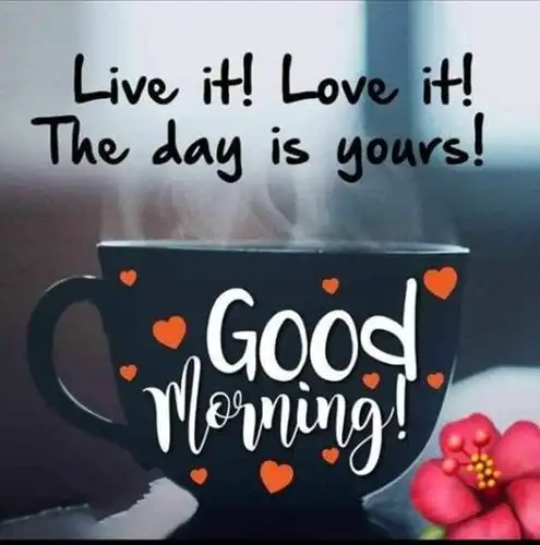 download good morning love day is your whatsapp wallpapers