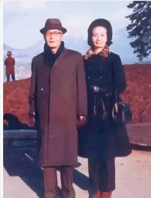 鲁豫:爱情不是必需品,底气才是