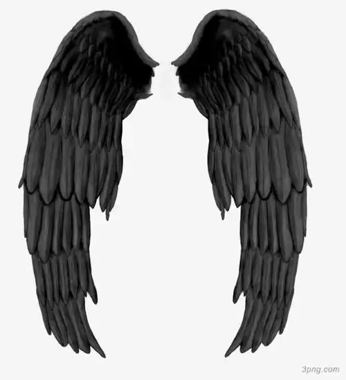 一对黑色翅膀png素材透明免抠图片其他元素