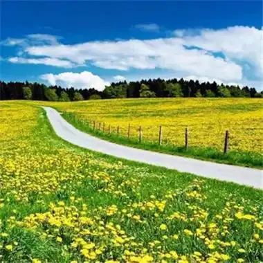 值得用一辈子的头像,独特而有品味_微信头像_头像控