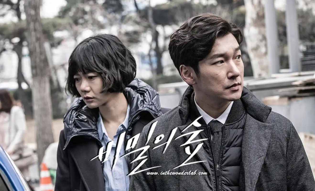 豆瓣高分10部韩剧:《信号》《我的大叔》进榜,第一高达9.7分!