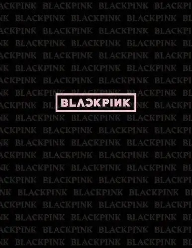 简介2019年5月22日发行时间blackpink日本首本官方写