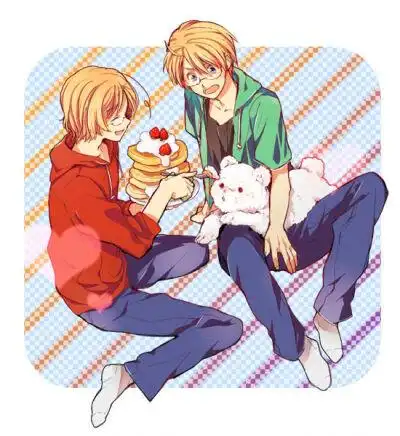 点赞  评论  #aph黑塔利亚##北米# 1 35 我耀君  发布到  北米双子