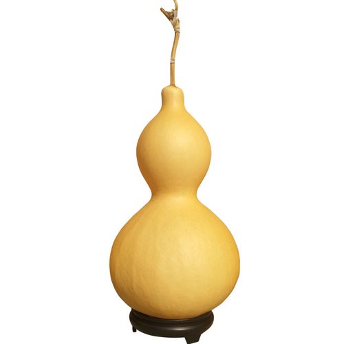 天然大葫芦带龙头摆件特大天然巨型大号招财风水摆件葫芦文玩挂件