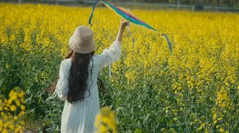 4k升格唯美实拍少女在花海中奔跑放风筝背影实拍