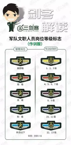 军队文职人员级别标识解读