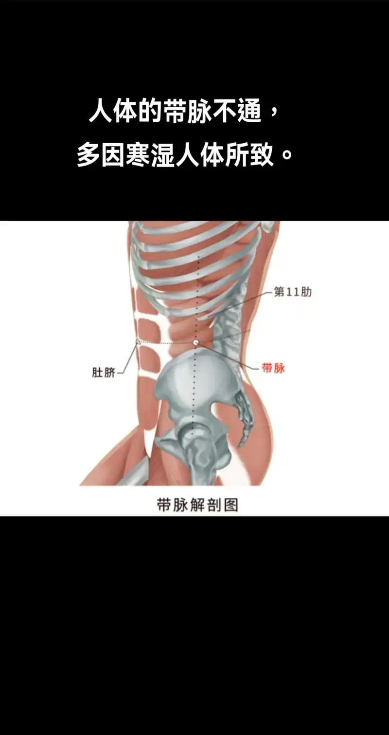 带脉不通,腰部赘肉难消.人体的带脉不通,多因寒湿人体所致.  - 抖音