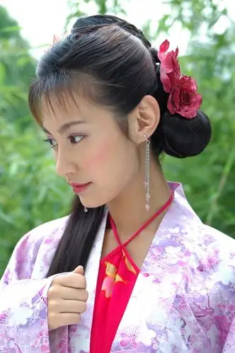 小鱼儿与花无缺杨雪 饰 江玉燕