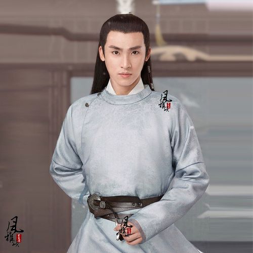 影视古装如意芳霏同款唐朝男汉服大臣服圆领民族服装