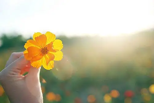 唯美的触动心灵的句子