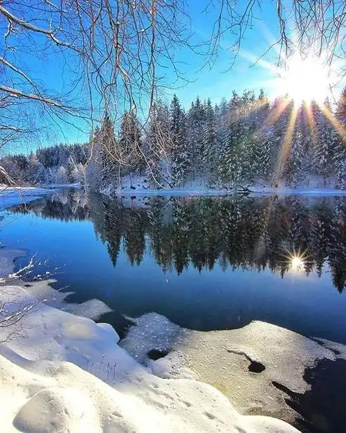 冬日暖阳,这个冬天有点暖