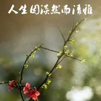 表示清雅淡然的图片_微信头像图片大全