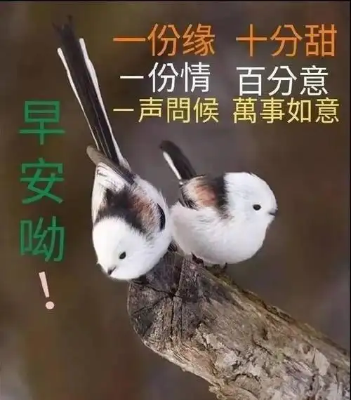 给心爱的人早安祝福语,亲爱的,早上好,愿你今天有个好心情!