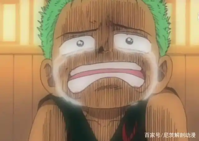 海贼王:放下自尊的索隆,向别人跪下的原因!