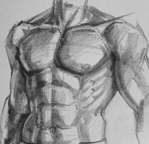 为什么我努力练出的肌肉和别人画风不一样?