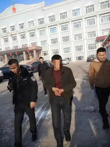 望奎法院雷霆2020绥化利剑行动望奎法院强制执行专治过年不还钱