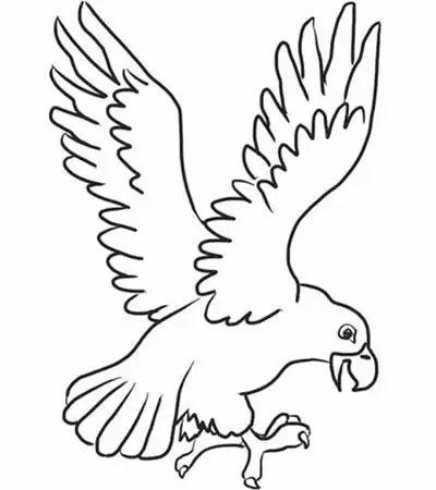 标签关键词:画老鹰