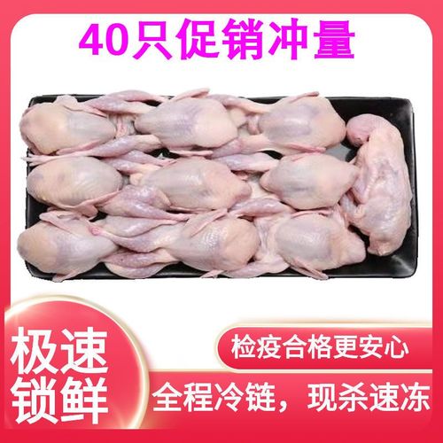 40只大鹌鹑现杀鹌鹑放血去内脏活体新鲜白条鹌鹑肉乳鸽烧烤冷冻