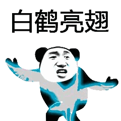 240_240gif 动态图 动图