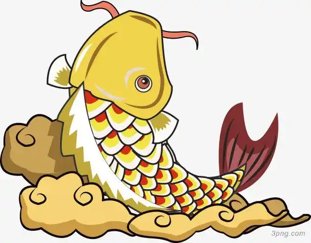 一条金黄色鲤鱼png素材透明免抠图片-动植人物-三元素3png.com
