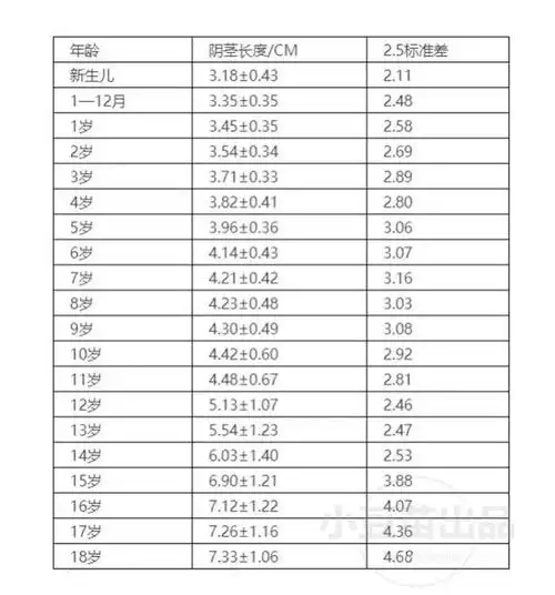 睾丸|包茎|隐睾|隐睾症_网易订阅