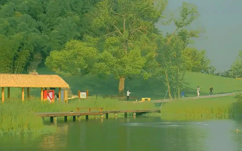 森系唯美治愈系自然风光,风景-回车桌面