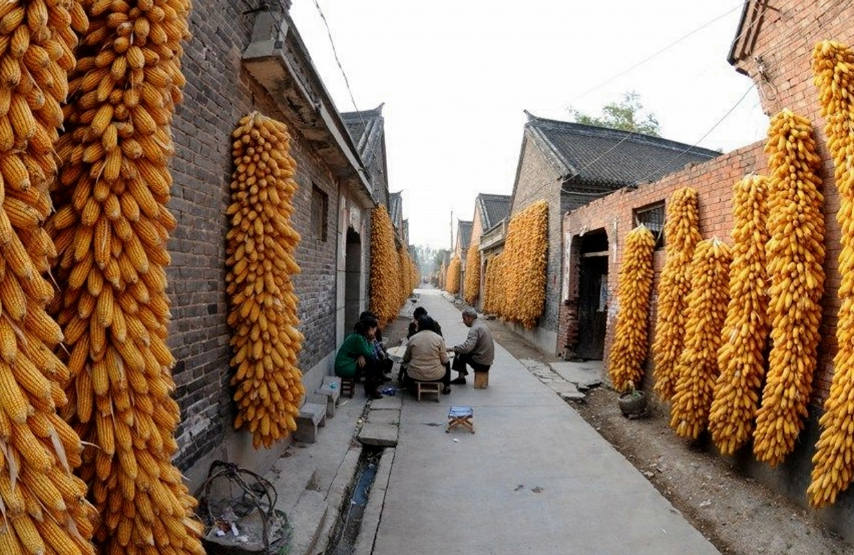 摄影师镜头下80年代农村丰收的老照片,第三张的场景再也见不到了