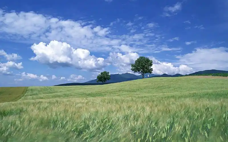 2018年1月内蒙古大草原美景图片日历壁纸绿色护眼风景图大自然风光