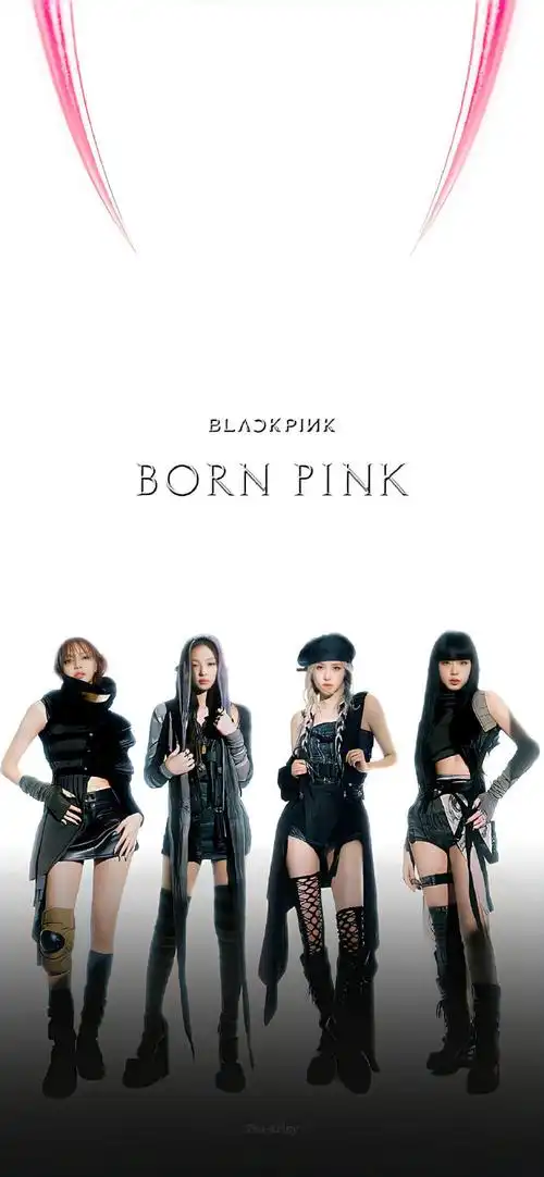 blackpink科切拉表演曲目