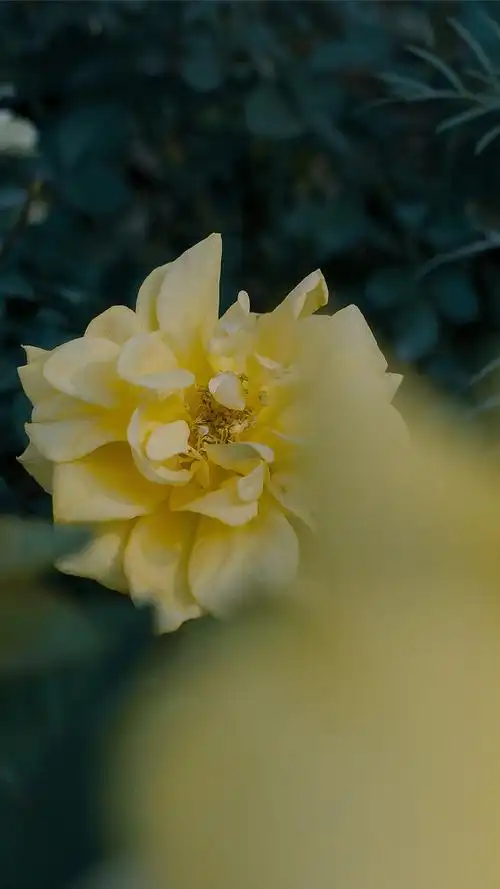 简约干净风景手机壁纸_风景_手机壁纸下载_美桌网