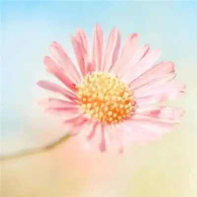 2020微信最吉利的好看头像图片 寓意好运的微信头像大全