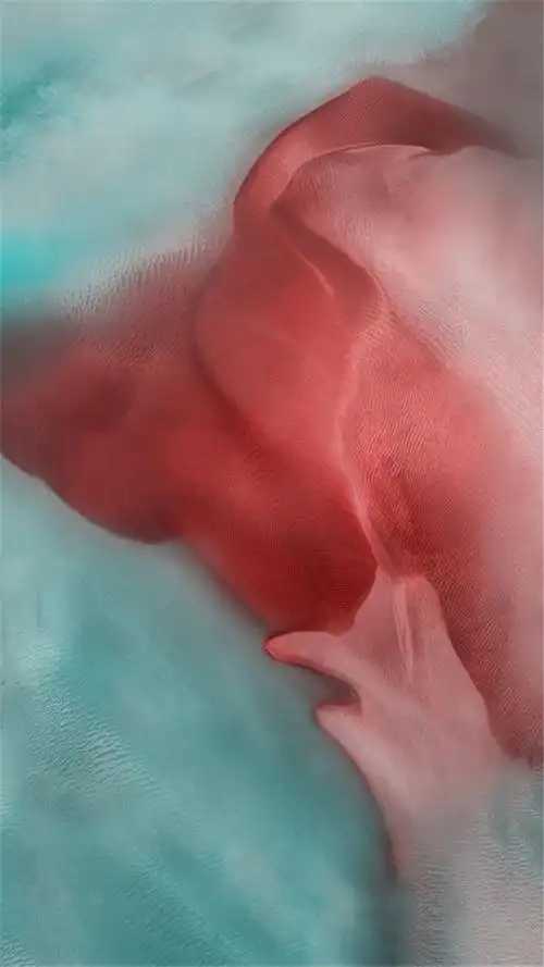 新增原生壁纸依然有苹果的特色,崇尚自然与环保.