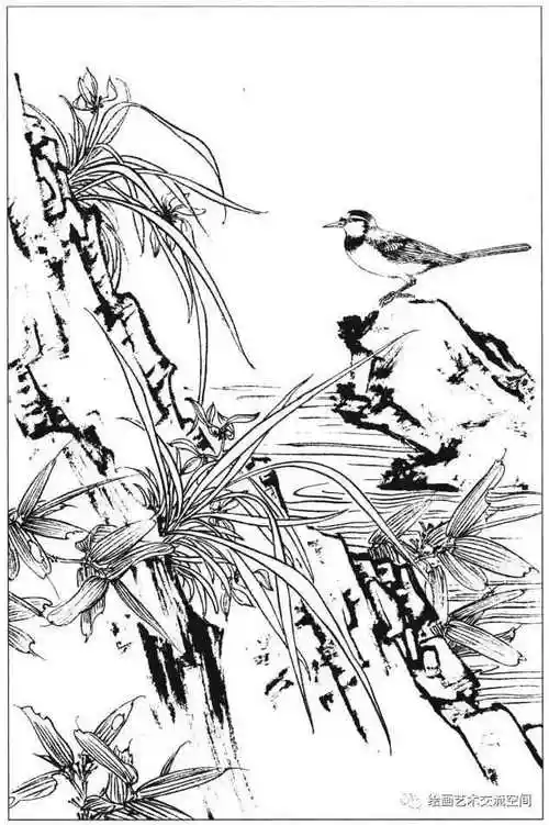 素材| 一组工笔花鸟实用线稿25图