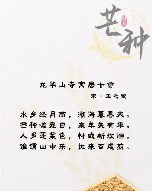 诗情话节气芒种忙中偷夏趣又是人间好时节